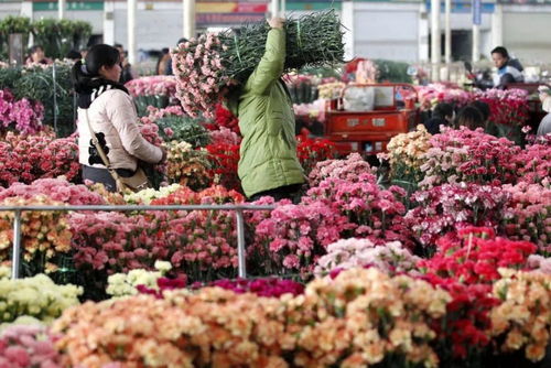  北京鲜花速递高端，传递美好，传递情感--第1张