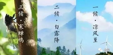  短剧云天收夏色全集观看--第1张