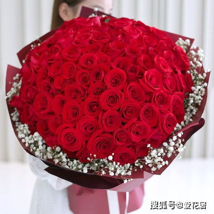  惊艳全场！99朵100元的花图片，浪漫至死不渝！--第1张