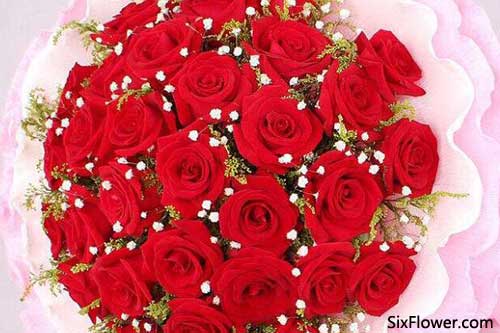  14朵玫瑰的花语，爱的最高境界，14朵玫瑰的花语，爱的最高境界、完美无缺--第1张