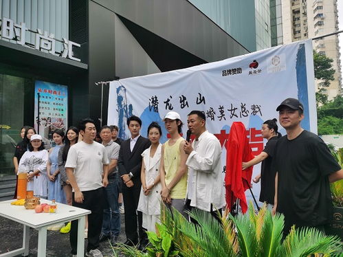  短剧潜龙出山闪婚美女总裁全集观看，短剧潜龙出山闪婚美女总裁全集在线观看，爱情与商业的双重挑战--第1张