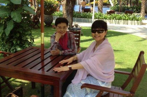  短剧离婚后千金曝光啦全集观看--第1张
