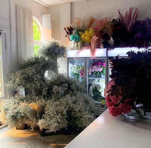  湖南长沙花店，感受花的魅力，品味生活的美好--第1张