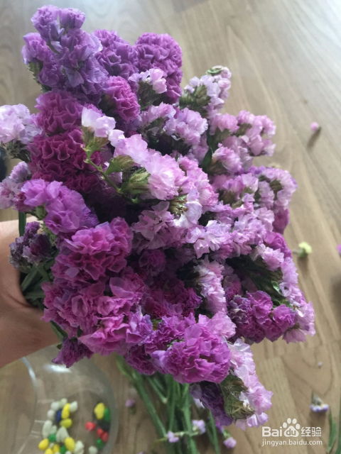  勿忘我花图片大全唯美，勿忘我花唯美图片欣赏，花海中的梦幻仙子--第1张