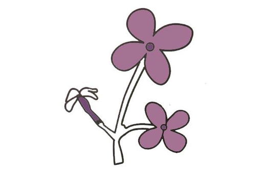  丁香花简笔画--第1张