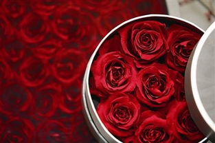  Roseonly鲜花，浪漫与品质的完美结合，Roseonly鲜花，浪漫与品质的完美结合——浪漫之选--第1张