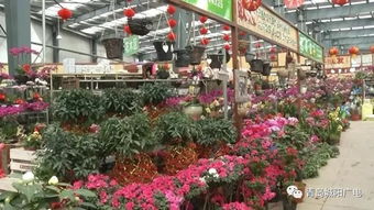  北京花卉批发基地，花卉交易的繁华市场--第1张