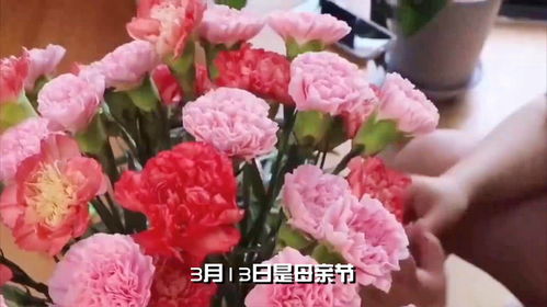  适合母亲节送什么花，适合母亲节送的鲜花有，康乃馨、萱草花、百合花、桔梗花、向日葵等。--第1张