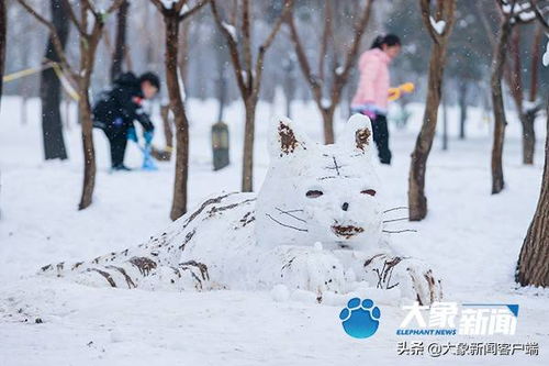  短剧雪落下的声音全集观看--第1张