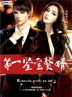  短剧大夏第一赘婿全集观看--第1张
