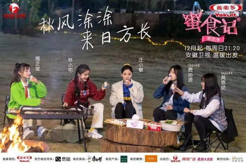  短剧江风知晚意全集观看，江风知晚意全集在线观看，短剧中的浪漫爱情故事--第1张