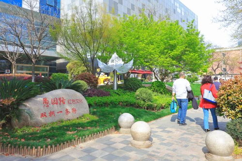  花卉网站是什么，花卉网站，提供花卉知识、品种介绍、购买渠道等服务的平台--第1张