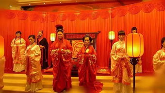  穿越时空夺皇位，短剧回到古代全集--第1张