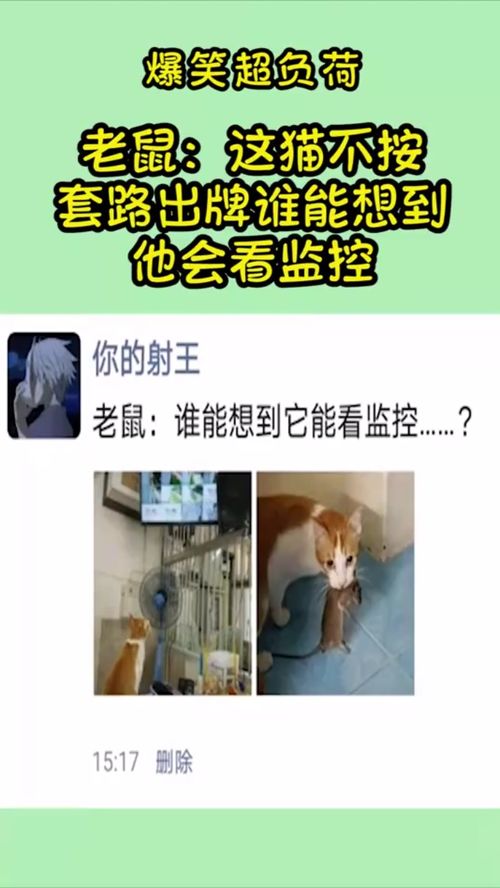  短剧池总他不按套路出牌全集观看--第1张