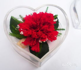  教师节鲜花送什么花--第1张