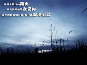  世界上最遥远的距离全集观看，世界上最遥远的距离全集，跨越时空的羁绊--第1张