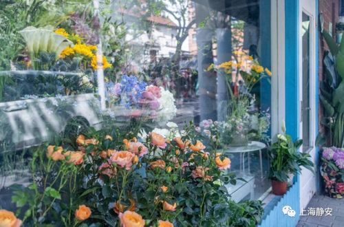  鲜花店附近哪里有花店？--第1张