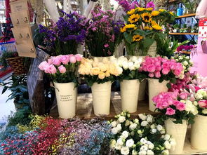  全国连锁花店排名，让你轻松选购心仪的花卉--第1张