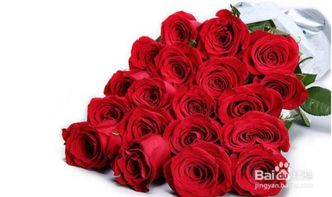  ，399朵玫瑰花的含义，399朵玫瑰花的多重含义，爱你到永久、爱的最高点、一生守候、爱的誓言等--第1张
