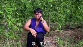  短剧回村小伙是侠医全集观看——乡村武侠的热血传奇，乡村武侠的热血传奇，短剧回村小伙是侠医全集观看--第1张