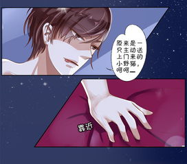  短剧玄医，弟弟，别想逃！全集观看--第1张