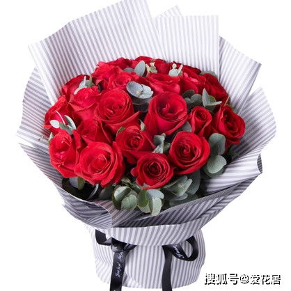  道歉送什么花给老婆--第1张