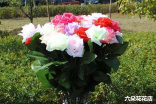  16朵玫瑰花的寓意和象征，16朵玫瑰花的浪漫寓意和象征爱情、友谊爱的宣言--第1张