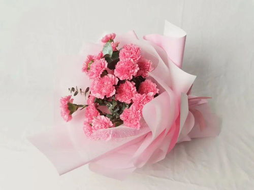  母亲节送什么花束比较好，母亲节送康乃馨花束比较好--第1张