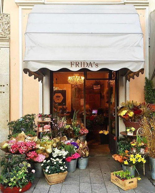  开花店一个月能赚多少钱？--第1张