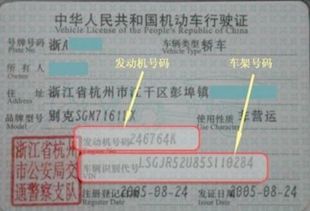 车辆识别代号免费查询_车辆识别代号查询车辆配置--第1张