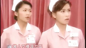  短剧梨小姐选夫记全集观看，梨小姐的选夫记全集观看--第1张