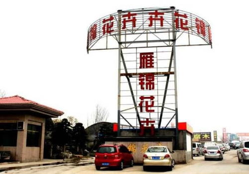  西安鲜花批发基地在哪，西安鲜花批发基地，探寻西安鲜花批发市场的新天地--第1张