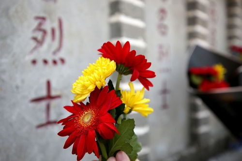 悼念鲜花图片，传递生命之花，缅怀逝去之人--第1张
