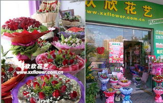 ，石家庄桥西花店送花，传递爱意，让生活更美好--第1张