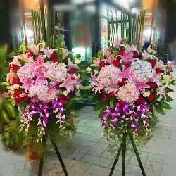  西宁鲜花店订花电话——为您的生活增添一抹绚烂色彩--第1张