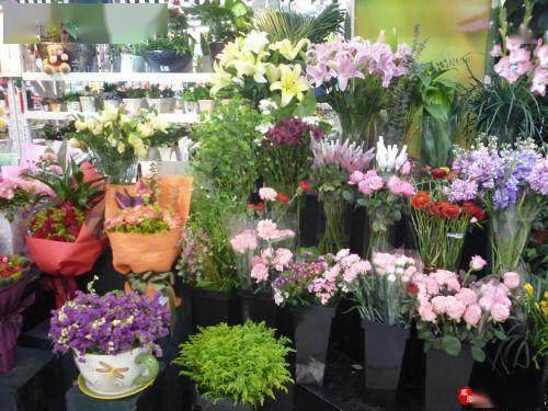  宁波海曙区花店，精选花卉，传递美好，宁波海曙区花店，传递美好，用鲜花装点生活--第1张