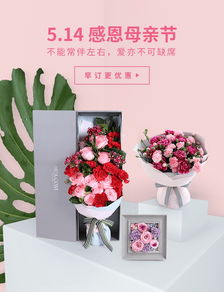  母亲节送什么花最适合礼物，母亲节送康乃馨花最适合礼物--第1张