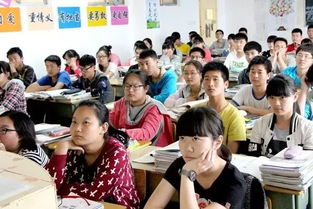  短剧十年寒窗无人问全集观看，十年寒窗全集，苦尽甘来--第1张