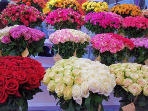  揭秘，哪里批发鲜花最实惠？--第1张