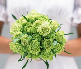  绿玫瑰的花语与寓意，绿玫瑰的花语，浪漫、纯洁的恋情、无尽的祝福。--第1张