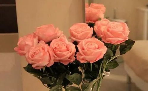  玫瑰花怎么养久一点，如何让玫瑰花更持久，养护技巧--第1张