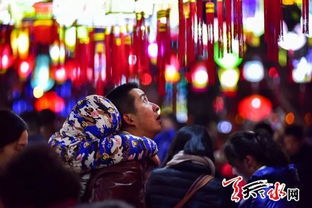  短剧寻她灯火阑珊处全集观看--第1张