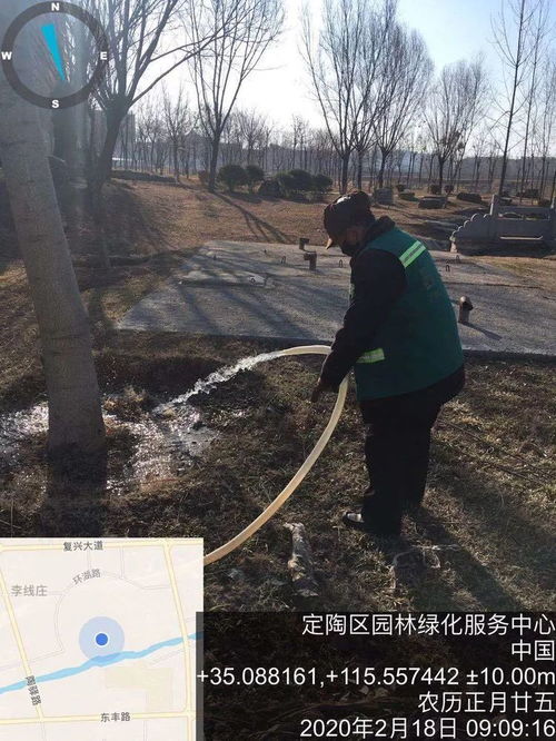  海南省绿化苗木网，一站式采购平台，为绿化事业添砖加瓦--第1张