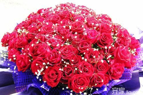  玫瑰花支数的含义，玫瑰花支数的含义，爱情与浪漫的象征--第1张