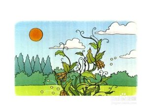  植物妈妈靠什么传播种子，植物妈妈靠什么传播种子，依靠自然力量传播种子--第1张