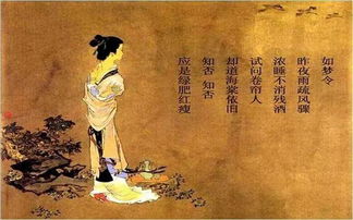  海棠花的诗句李清照，海棠花下的李清照的诗意人生--第1张