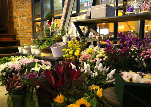  开一家花店大概需要多少钱--第1张