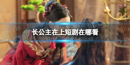  短剧长公主在上全集观看--第1张