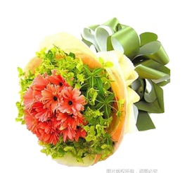  父亲节适合送父亲的花--第1张