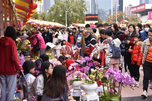  广州网上花市入口--第1张